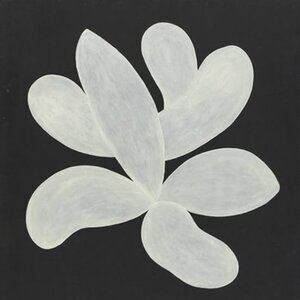 Meet your Posher, K. yoko